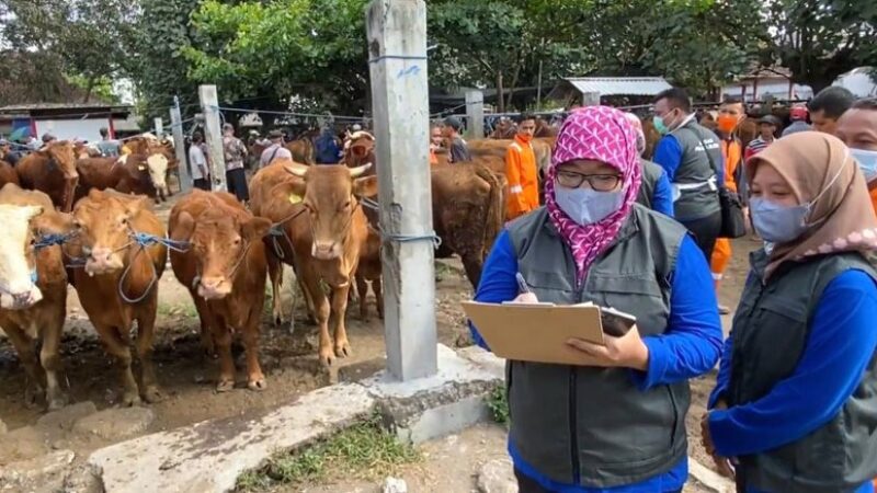 Tim Satgas DKPP Kota Blitar Sidak Beberapa Pasar Hewan