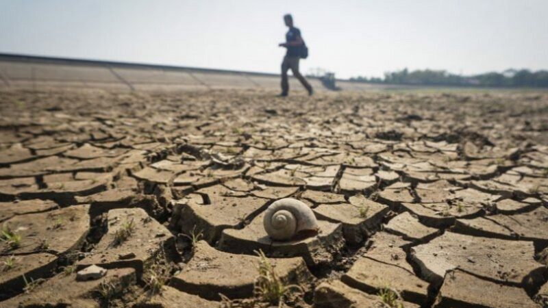 ilustrasi_kekeringan_dampak_el_nino