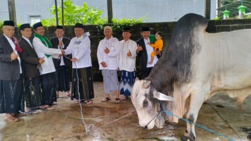 IMG-20230630-WA0000