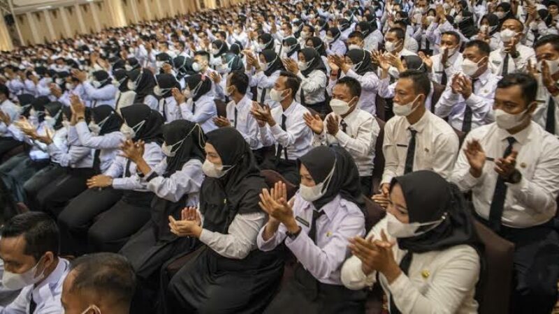 ilustrasi pengangkatan PPPK